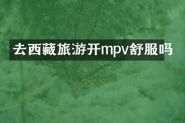 去西藏旅游开mpv舒服吗