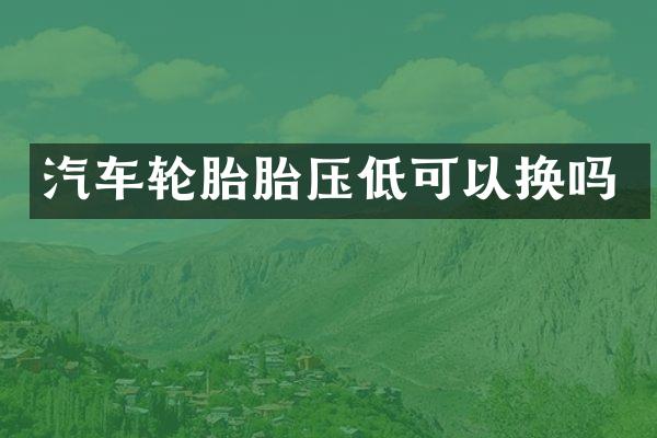 汽车轮胎胎压低可以换吗