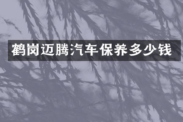 鹤岗迈腾汽车保养多少钱