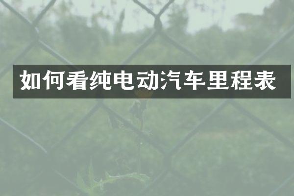 如何看纯电动汽车里程表