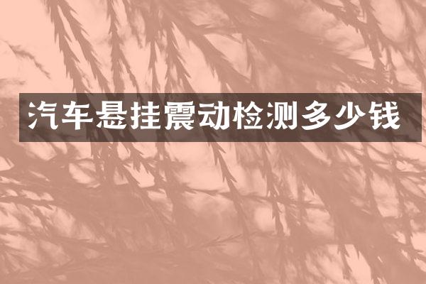 汽车悬挂震动检测多少钱