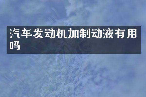 汽车发动机加制动液有用吗
