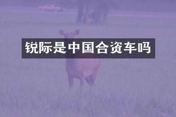 锐际是中国合资车吗