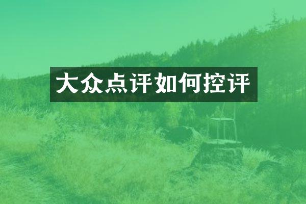 大众点评如何控评