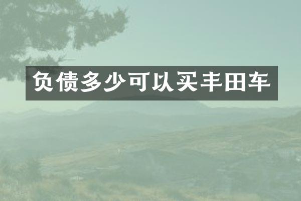 负债多少可以买丰田车