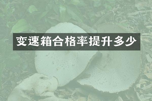 变速箱合格率提升多少