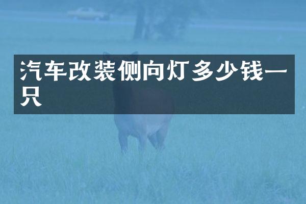 汽车改装侧向灯多少钱一只