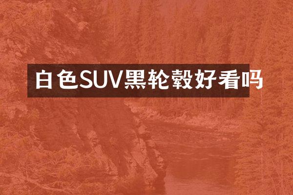 白色SUV黑轮毂好看吗
