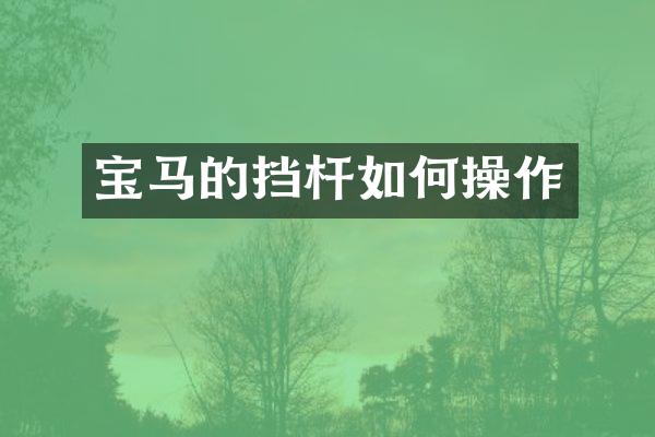 宝马的挡杆如作