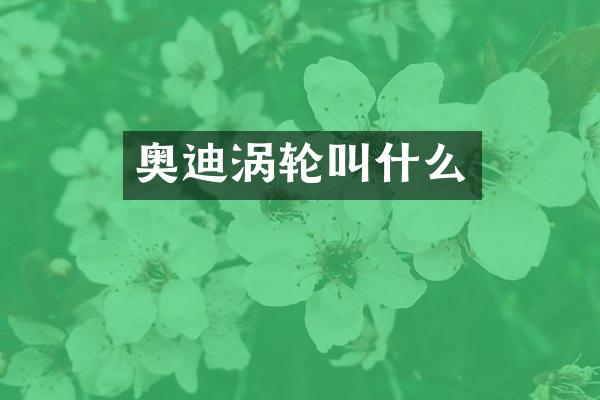 奥迪涡轮叫什么