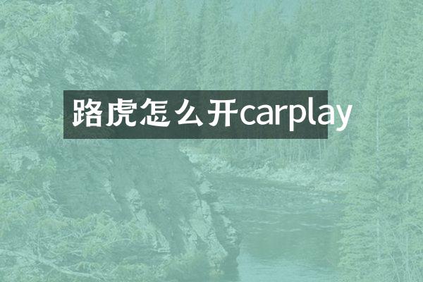 路虎怎么开carplay