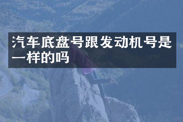 汽车底盘号跟发动机号是一样的吗