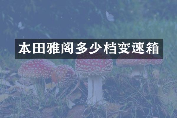 本田雅阁多少档变速箱