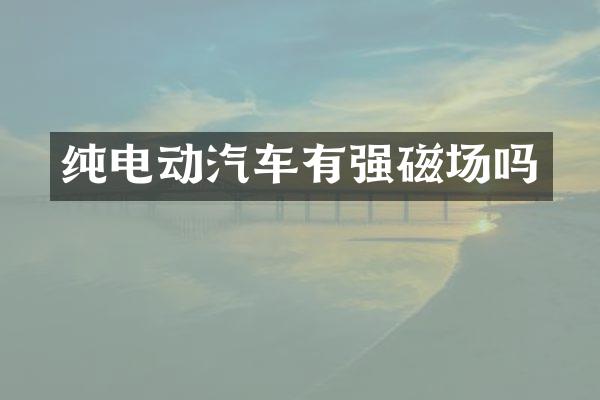 纯电动汽车有强磁场吗