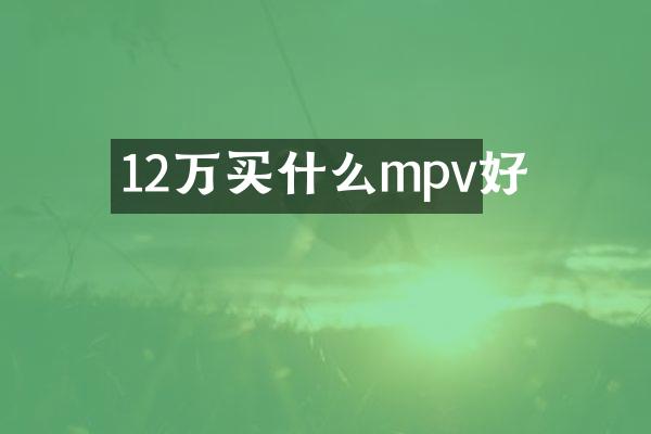 12万买什么mpv好