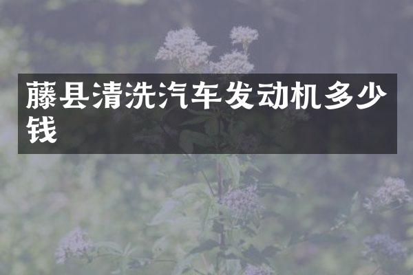 藤县清洗汽车发动机多少钱