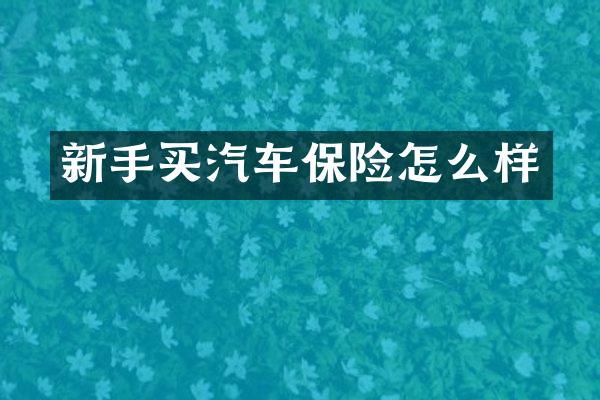 新手买汽车保险怎么样