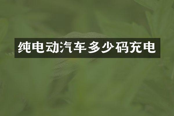 纯电动汽车多少码充电