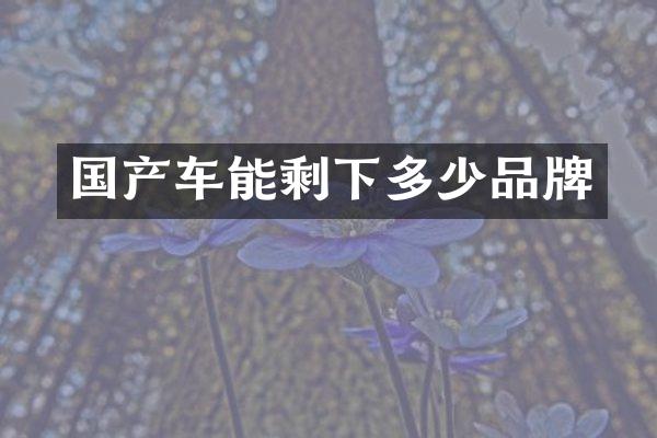 国产车能剩下多少品牌