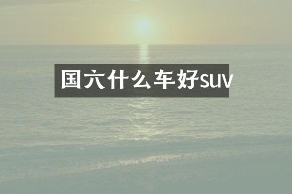 国六什么车好suv