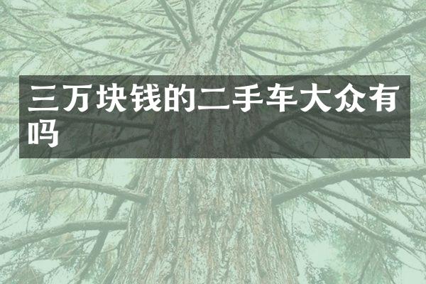 三万块钱的二手车大众有吗