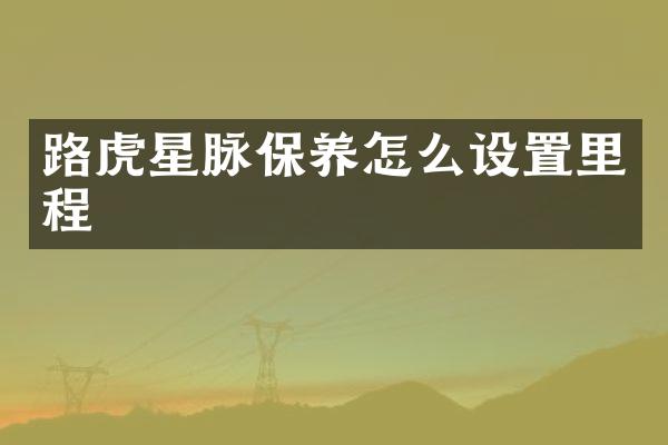 路虎星脉保养怎么设置里程