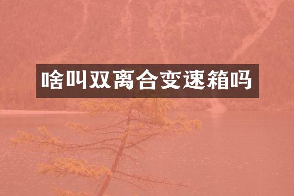 啥叫双离合变速箱吗