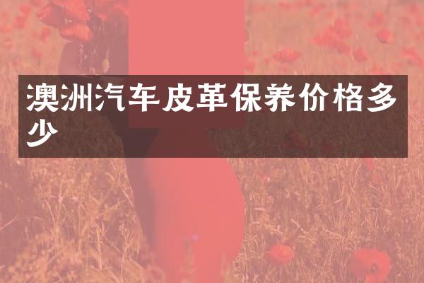 澳洲汽车皮革保养价格多少