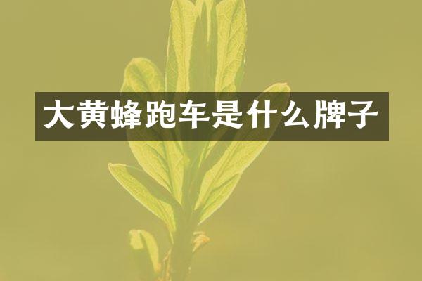 大黄蜂跑车是什么牌子