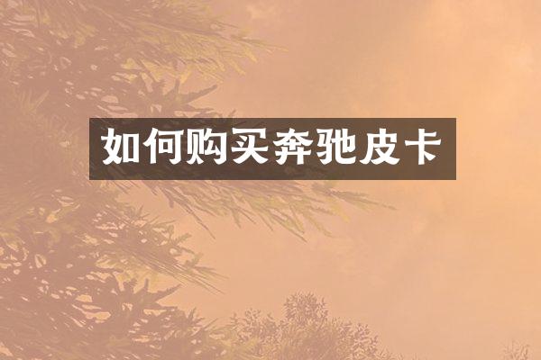 如何购买奔驰皮卡