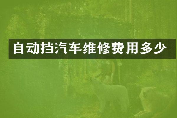 自动挡汽车维修费用多少