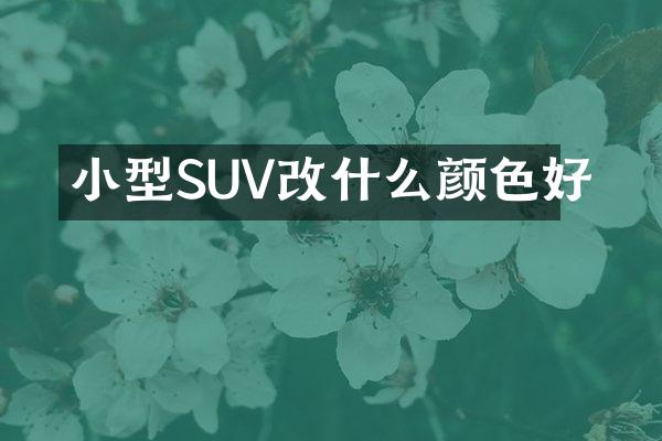 小型SUV改什么颜色好