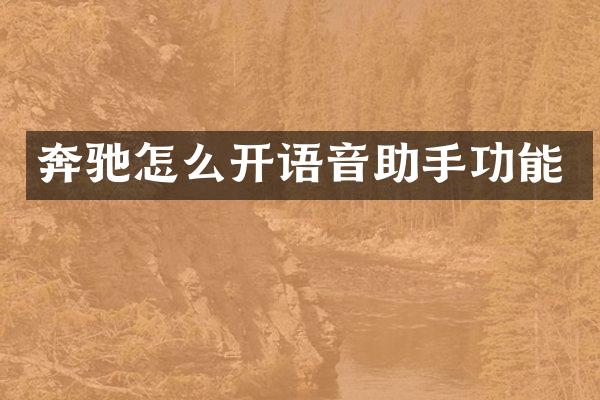 奔驰怎么开语音助手功能