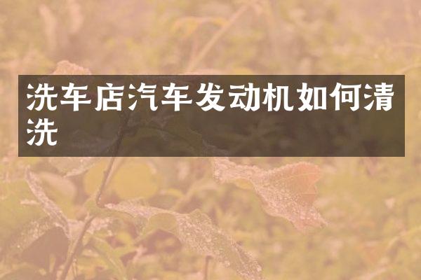 洗车店汽车发动机如何清洗