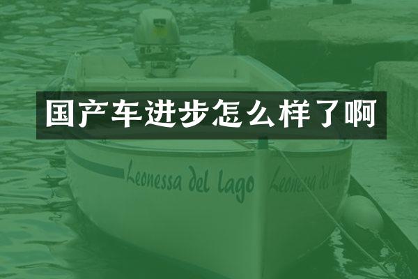 国产车进步怎么样了啊