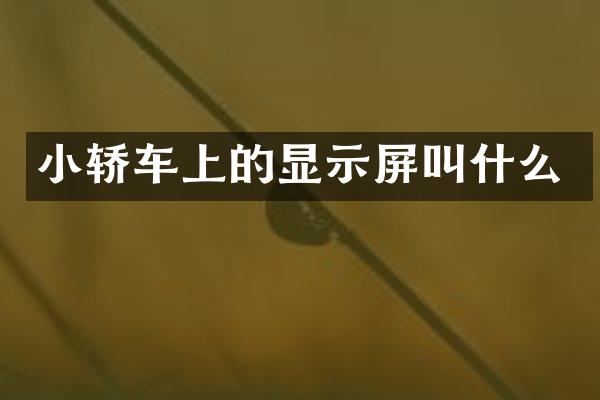 小轿车上的显示屏叫什么