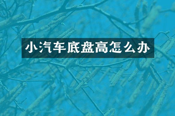 小汽车底盘高怎么办