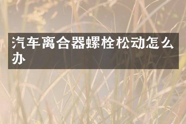 汽车离合器螺栓松动怎么办