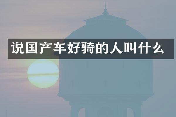 说国产车好骑的人叫什么