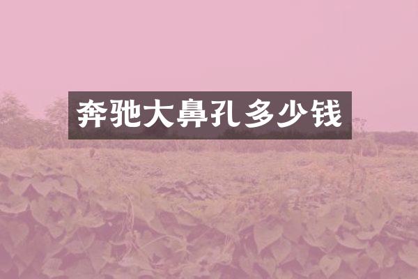 奔驰大鼻孔多少钱