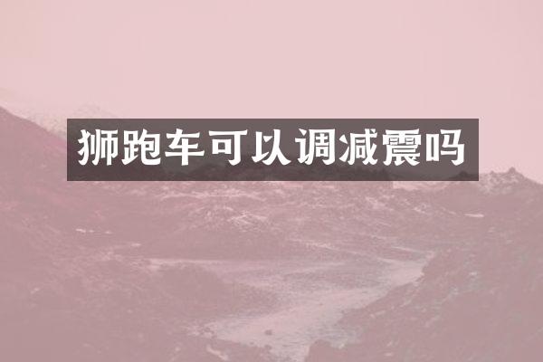 狮跑车可以调减震吗