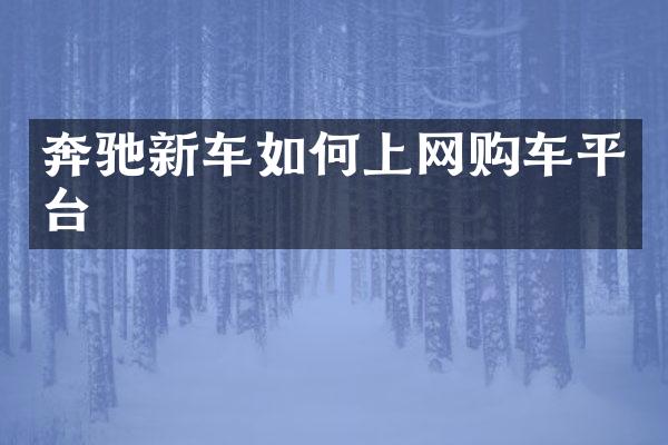 奔驰新车如何上网购车平台