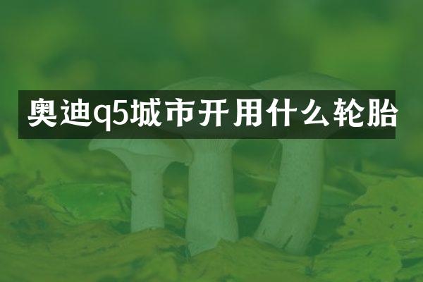 奥迪q5城市开用什么轮胎