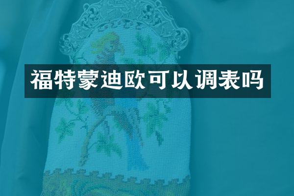 福特蒙迪欧可以调表吗