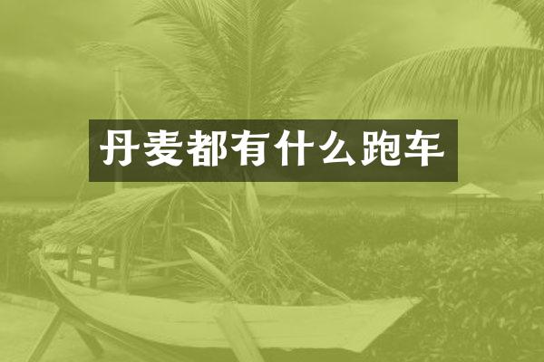 丹麦都有什么跑车