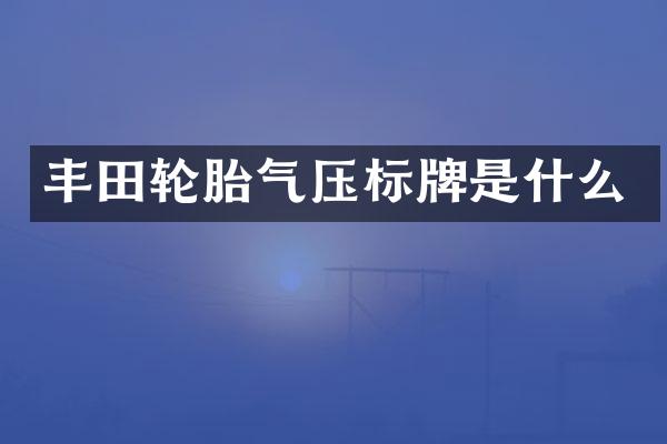 丰田轮胎气压标牌是什么