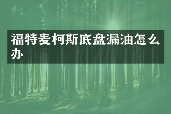 福特麦柯斯底盘漏油怎么办