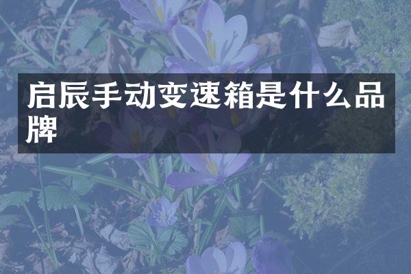 启辰手动变速箱是什么品牌