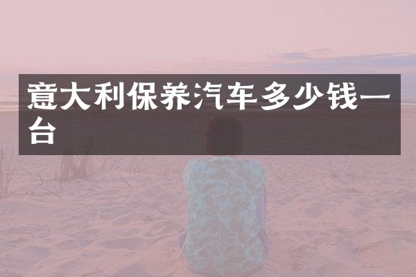 意大利保养汽车多少钱一台