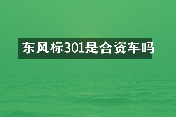 东风标301是合资车吗